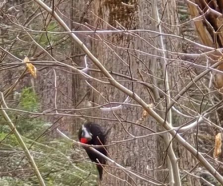 Nature Trailhead Campground