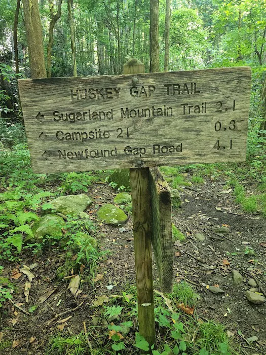 Backcountry Camp 21 6