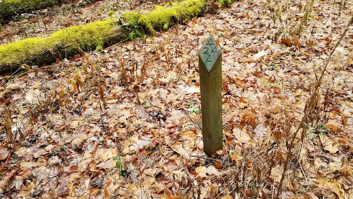 Backcountry Camp 24 6