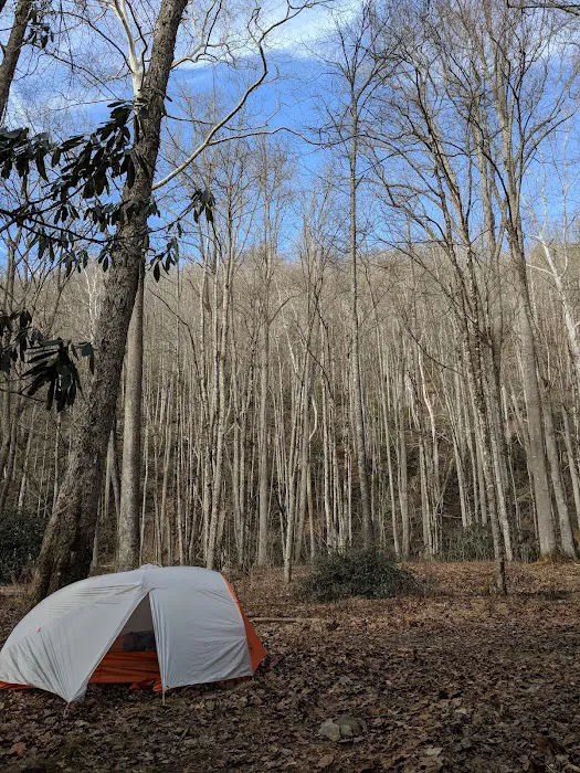 Backcountry Camp 24 4