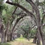 Montgomery Mobile Home Park