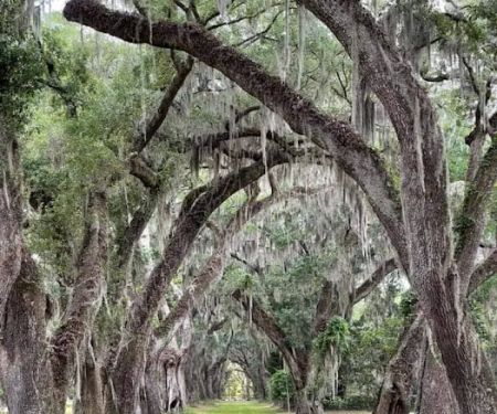 Montgomery Mobile Home Park