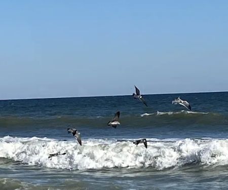 Shady Grove Mobile Home Park