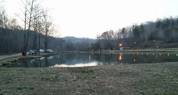 Vein Mountain Gold Camp & Carolina Emerald Mine 8