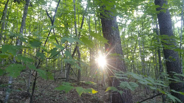 Ldma Vein Mountain, NC 2