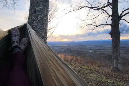 Bolin Knob Meadows