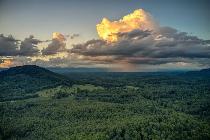 Bolin Knob Meadows 2