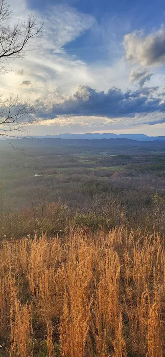 Bolin Knob Meadows 5