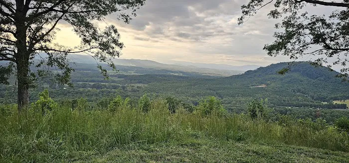 Bolin Knob Meadows 7
