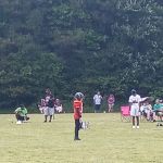 Springs Road Estates