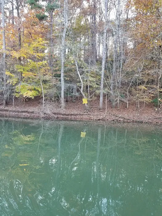 Lake Lookout Campground 3