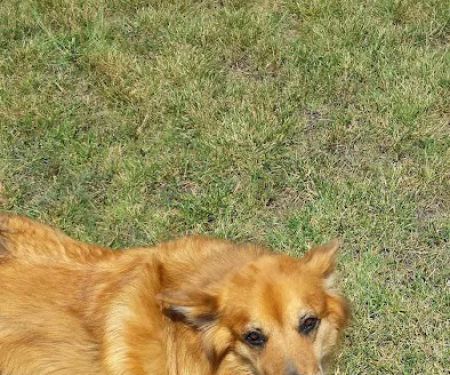 Matika Mobile Home Park