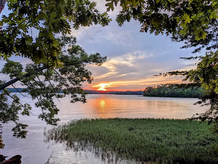 Badin Lake Campground 3
