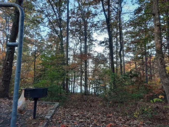 Badin Lake Campground 7