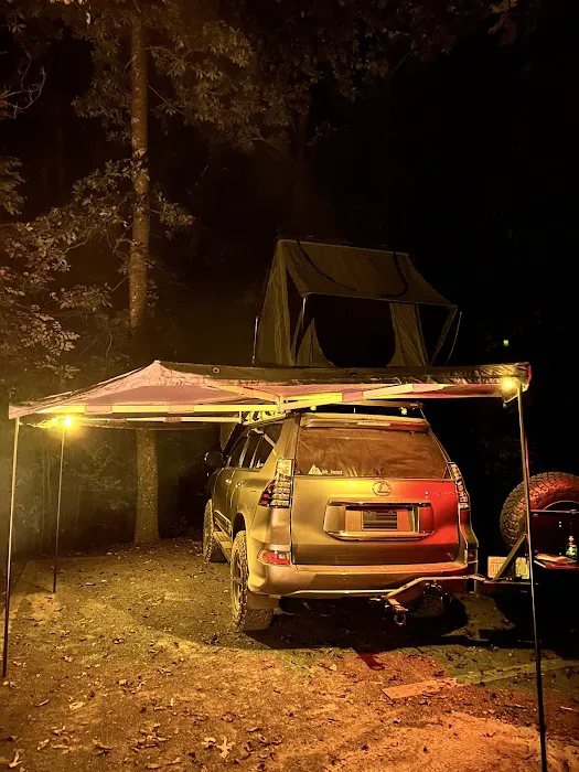 Badin Lake Group Campground 5