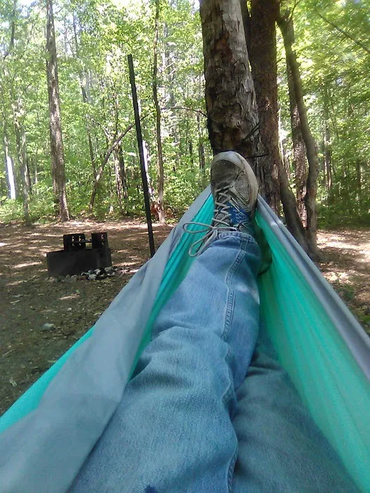 West Morris Mountain Campground 6