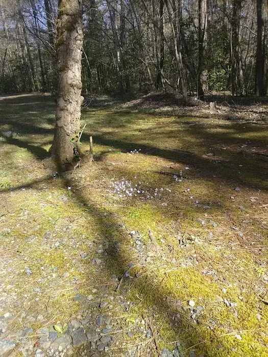 West Morris Mountain Campground 7