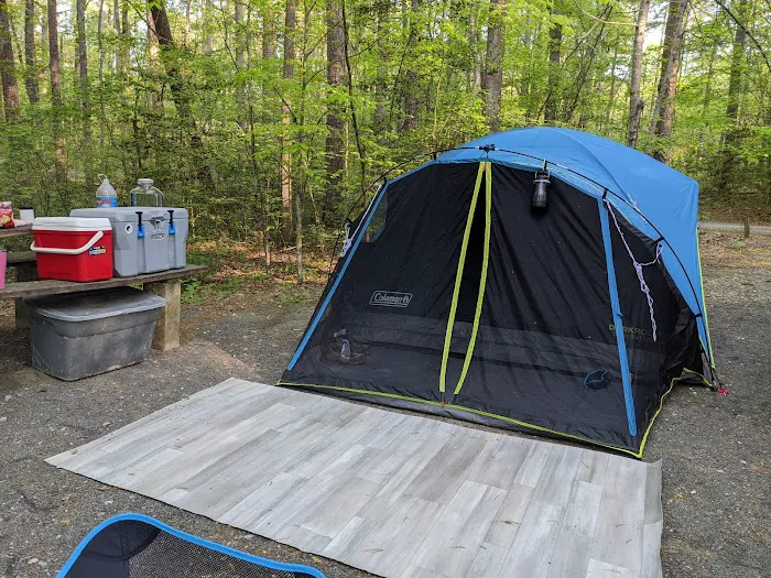 West Morris Mountain Campground 8