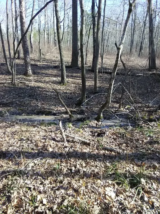 East Morris Mountain Campground 4