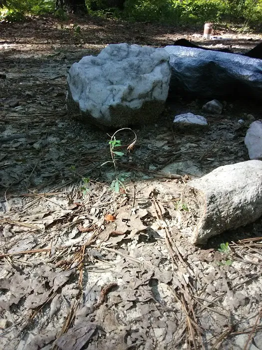 East Morris Mountain Campground 5