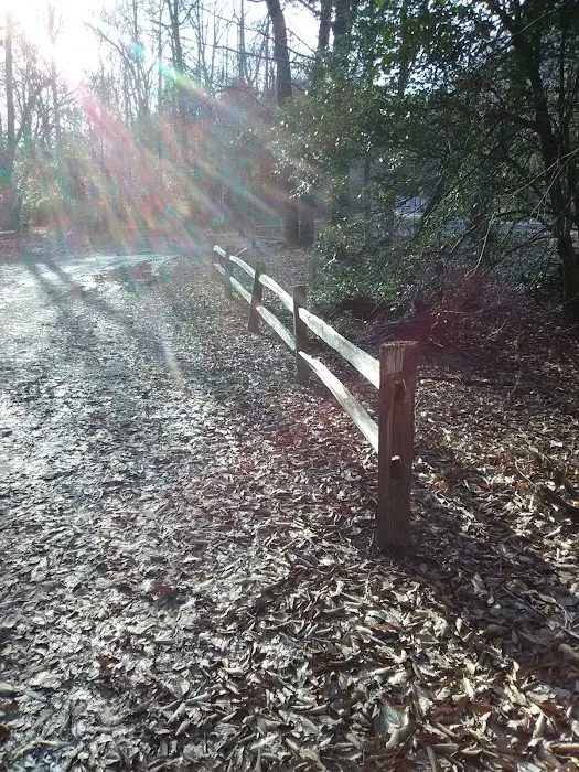 East Morris Mountain Campground 2