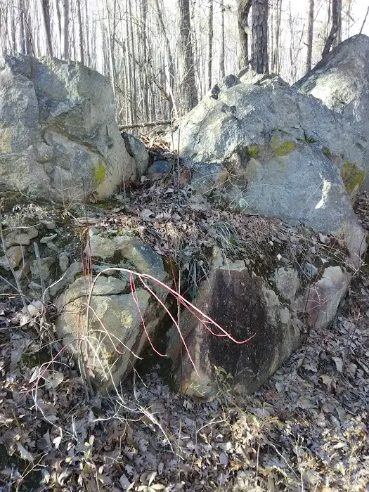 East Morris Mountain Campground 8