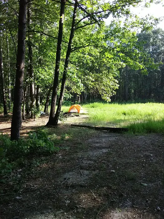 East Morris Mountain Campground 6