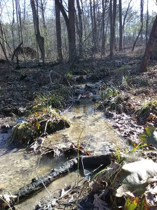 East Morris Mountain Campground 7
