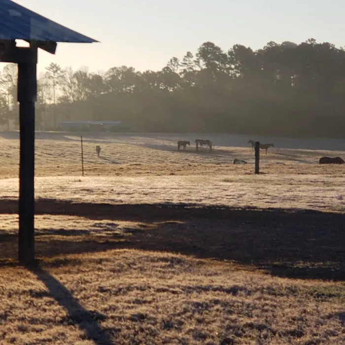 4B Farm & Campground 1