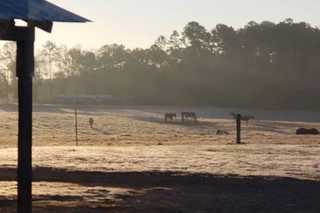 4B Farm & Campground