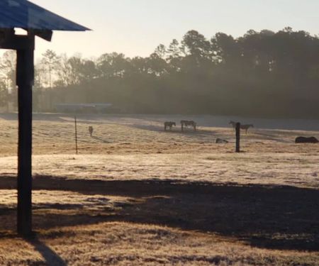 4B Farm & Campground