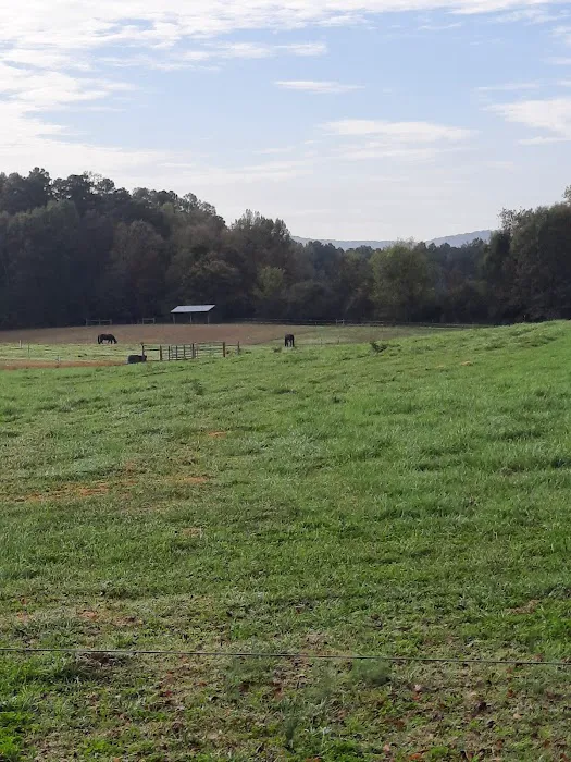 4B Farm & Campground 8