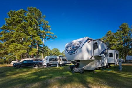 Bass Lake Camp Ground