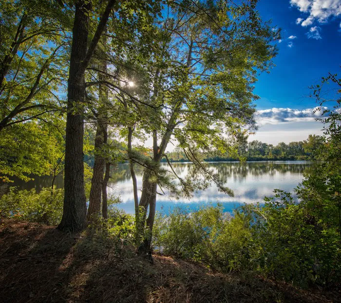 Bass Lake Camp Ground 8