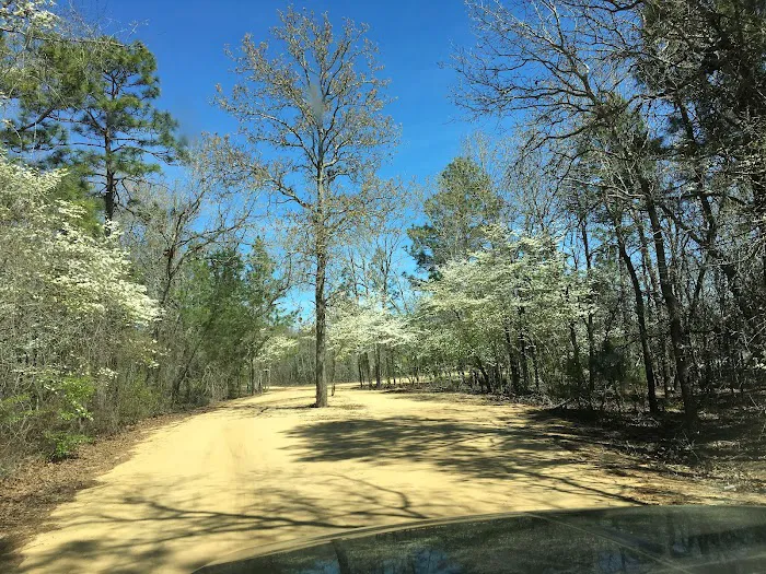 Pine Lake RV Resort 4