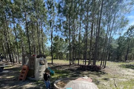 Idlewild Farm Stays