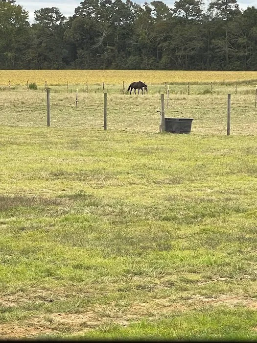 New Height Acres 6