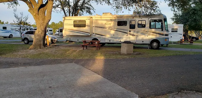 Camp Pedro 7