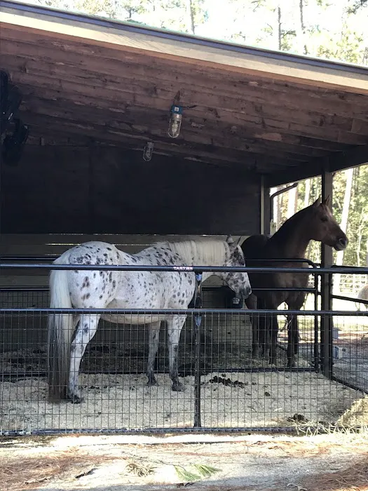 Daily Walk Stables CAMPGROUND 6