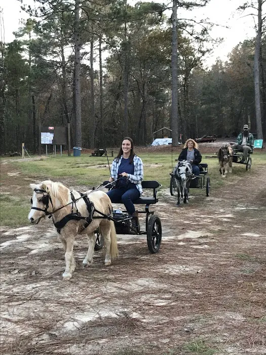 Daily Walk Stables CAMPGROUND 2