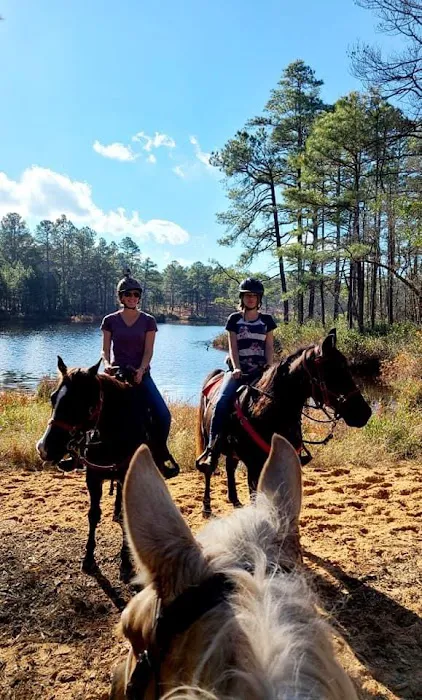 Daily Walk Stables CAMPGROUND 8
