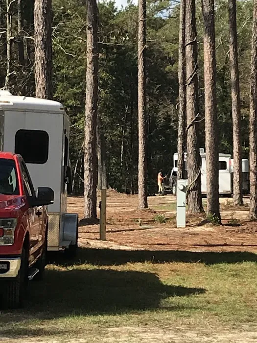 Daily Walk Stables CAMPGROUND 10