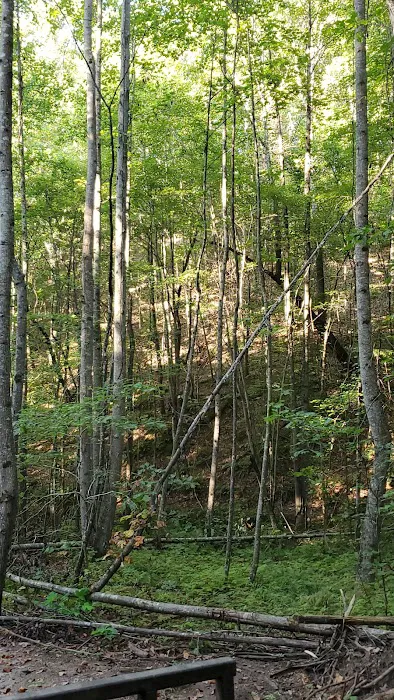 Pickwick Adventures 6