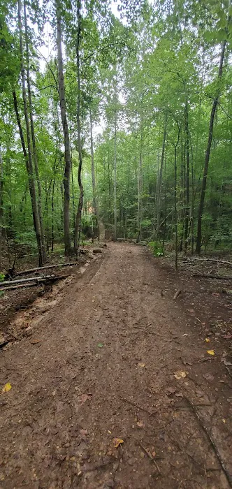 Pickwick Adventures 7