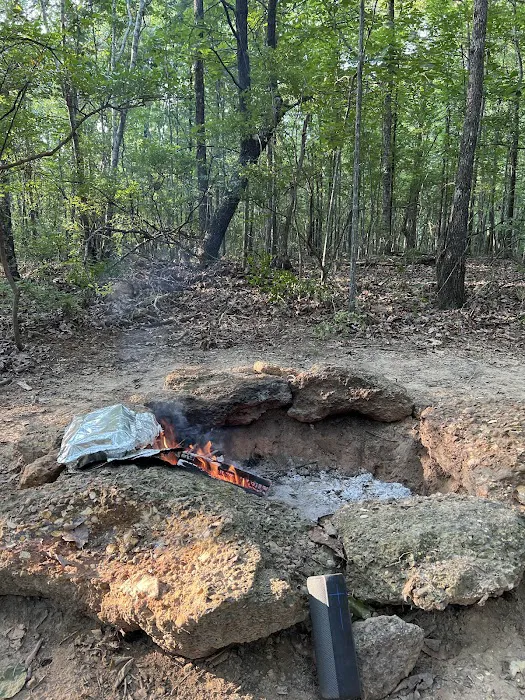 Pickwick Adventures 10
