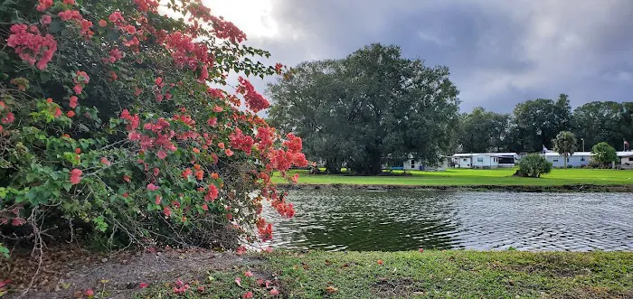 May Manor 5