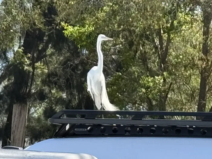 Yankee Traveler RV Park 7