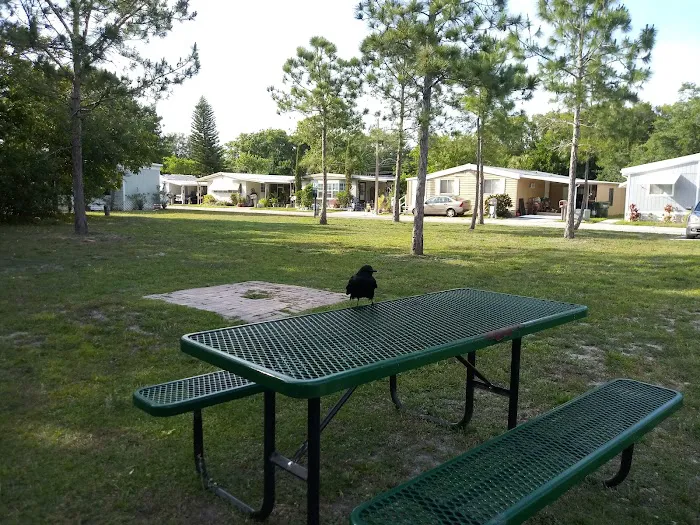 Whispering Pines - Largo 8