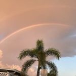 Grosse Pointe Co-Op Inc