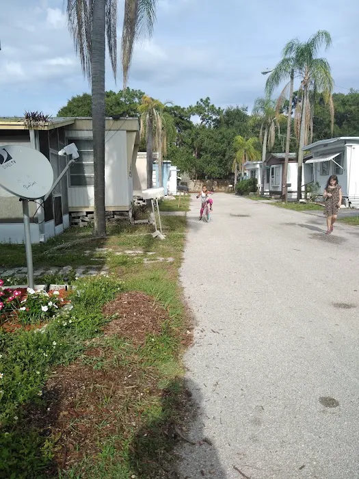 Sun Terrace Manufactured Home Community | Clearwater, FL 7